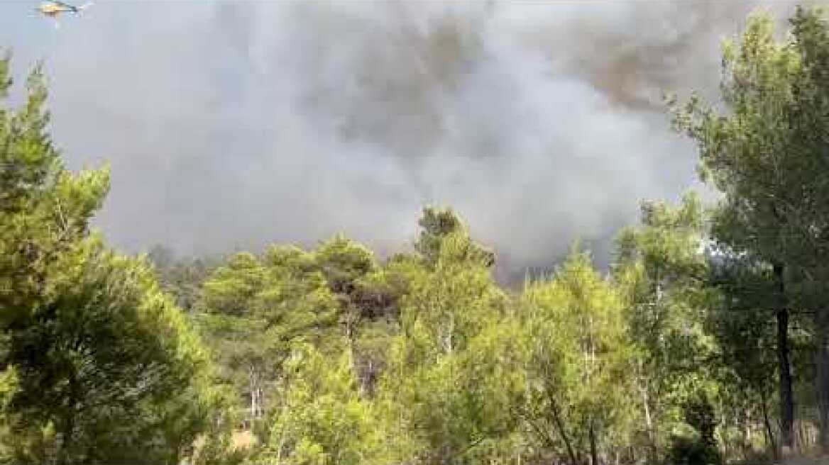 Φωτιά στη Σταμάτα Διονύσου κοντά σε σπίτια (2)