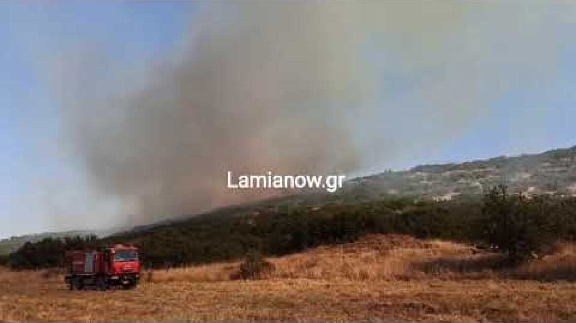 Νέα φωτιά στην Λαμία στον λόφο πάνω από το ICE