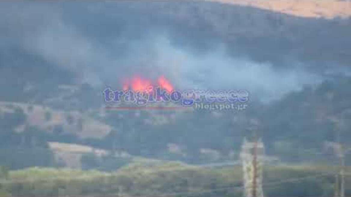 "tragikogreece" Φωτιά πάνω από την Λέυκη Καστοριάς