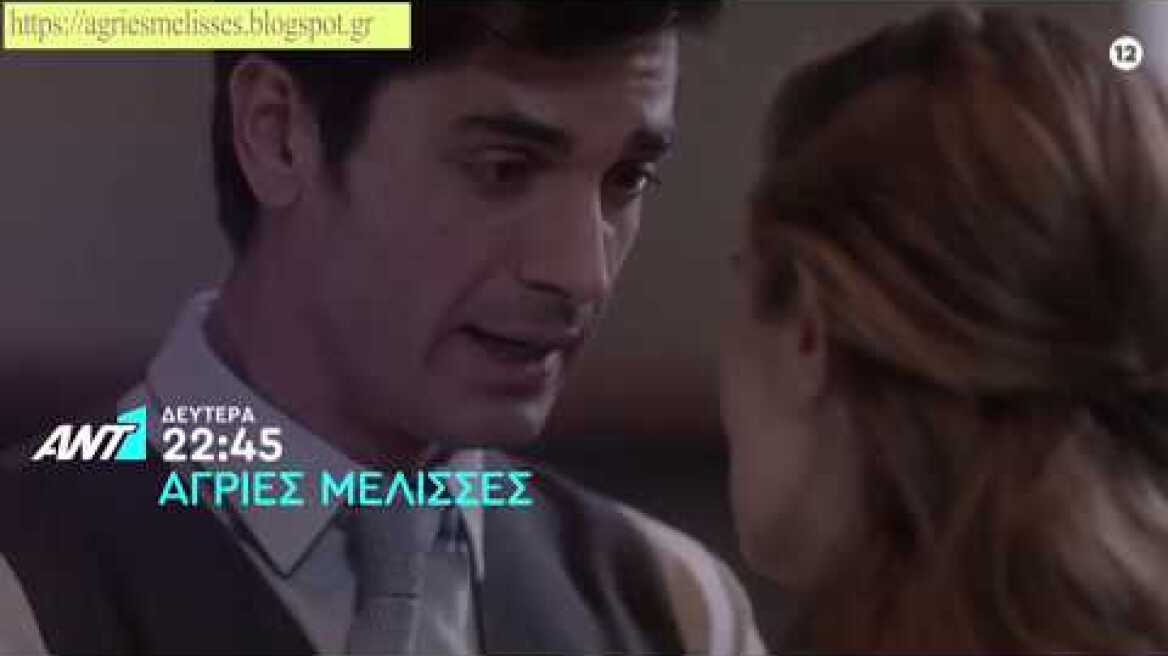 ΑΓΡΙΕΣ ΜΕΛΙΣΣΕΣ - ΕΠΕΙΣΟΔΙΟ 30 - ΤΡΕΙΛΕΡ || ΑΓΡΙΕΣ ΜΕΛΙΣΣΕΣ (18/11/2019) || ΑΓΡΙΕΣ ΜΕΛΙΣΣΕΣ