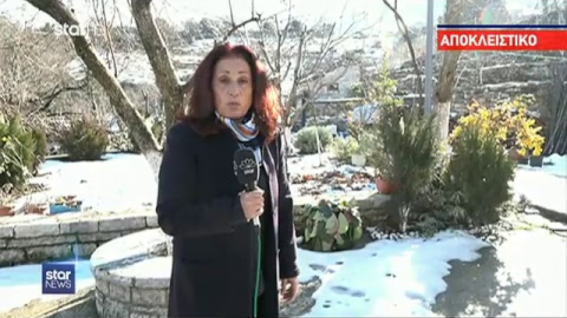 startvgr Live Stream