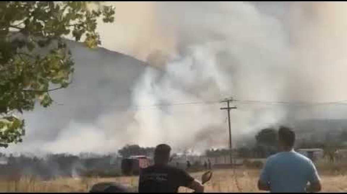 Νέα φωτιά στην Εύβοια - Μέτωπο στο νεκροταφείο στη Χαλκίδα