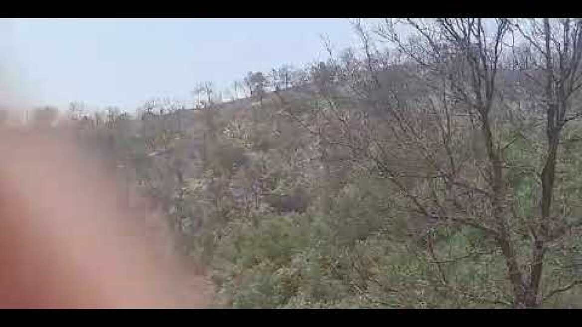 ΦΩΤΙΑ ΣΤΑ ΓΡΕΒΕΝΑ - ΕΡΤ