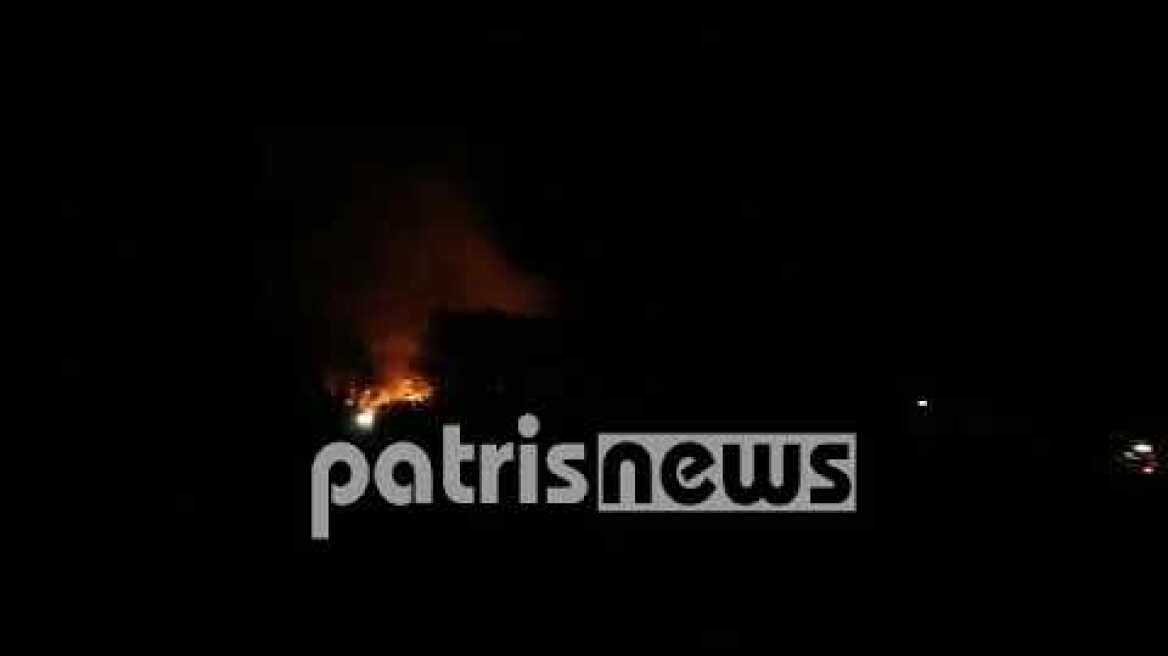 Φωτιά στην Ηράκλεια: Σε δασική έκταση κοντά στον οικισμό- Ισχυρές δυνάμεις στο σημείο