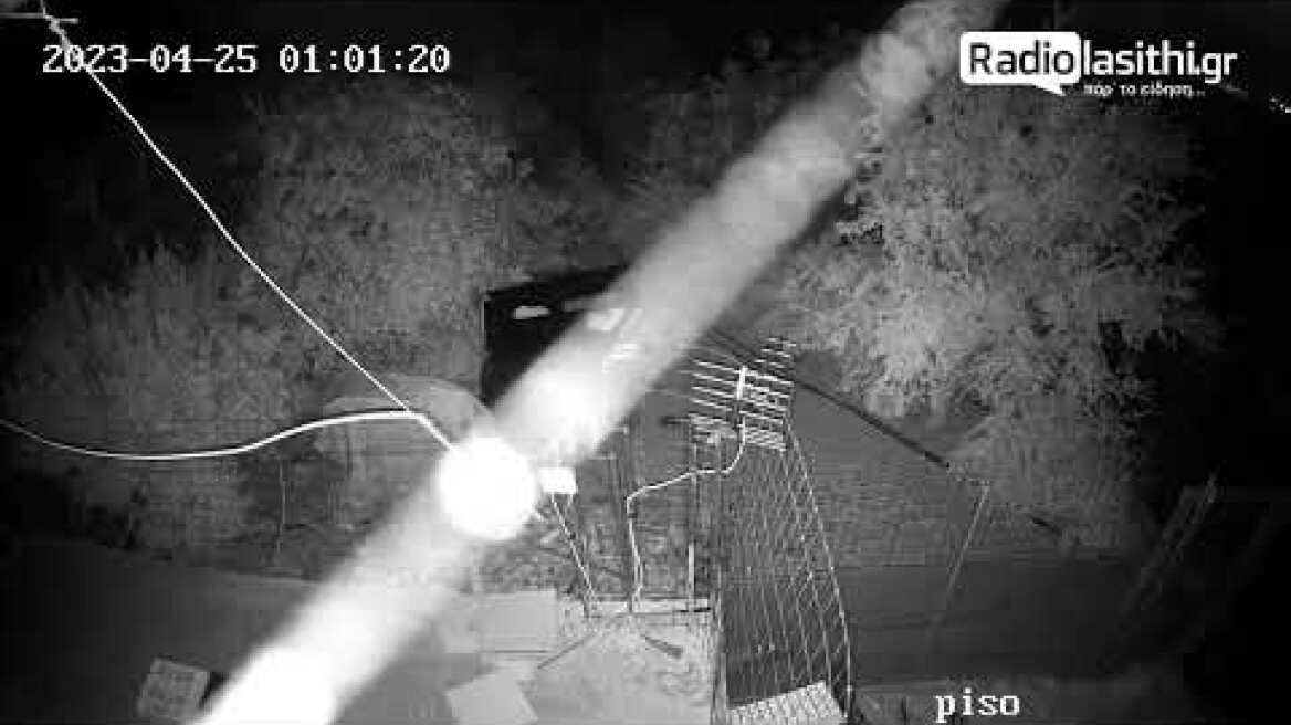 Αγέλη σκύλων σε χωράφι με κουνέλια