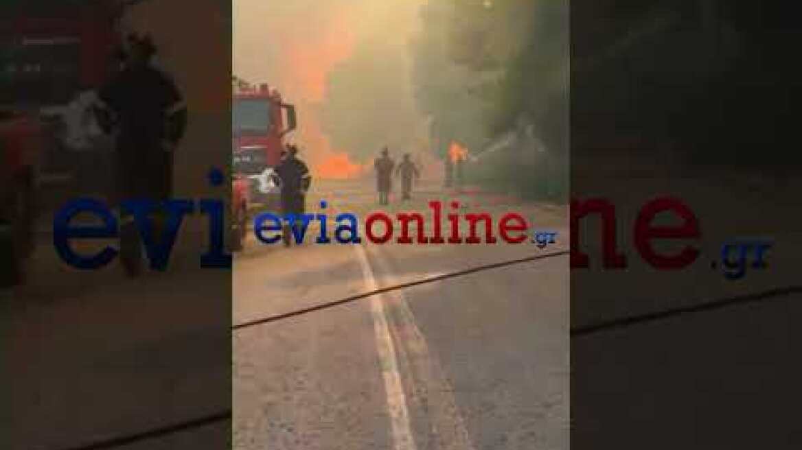 Εύβοια: Φωτιά ΣΟΚ