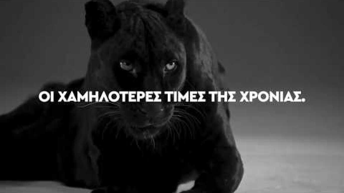 BLACK FRIDAY @One Salonica!  Ready to attack?