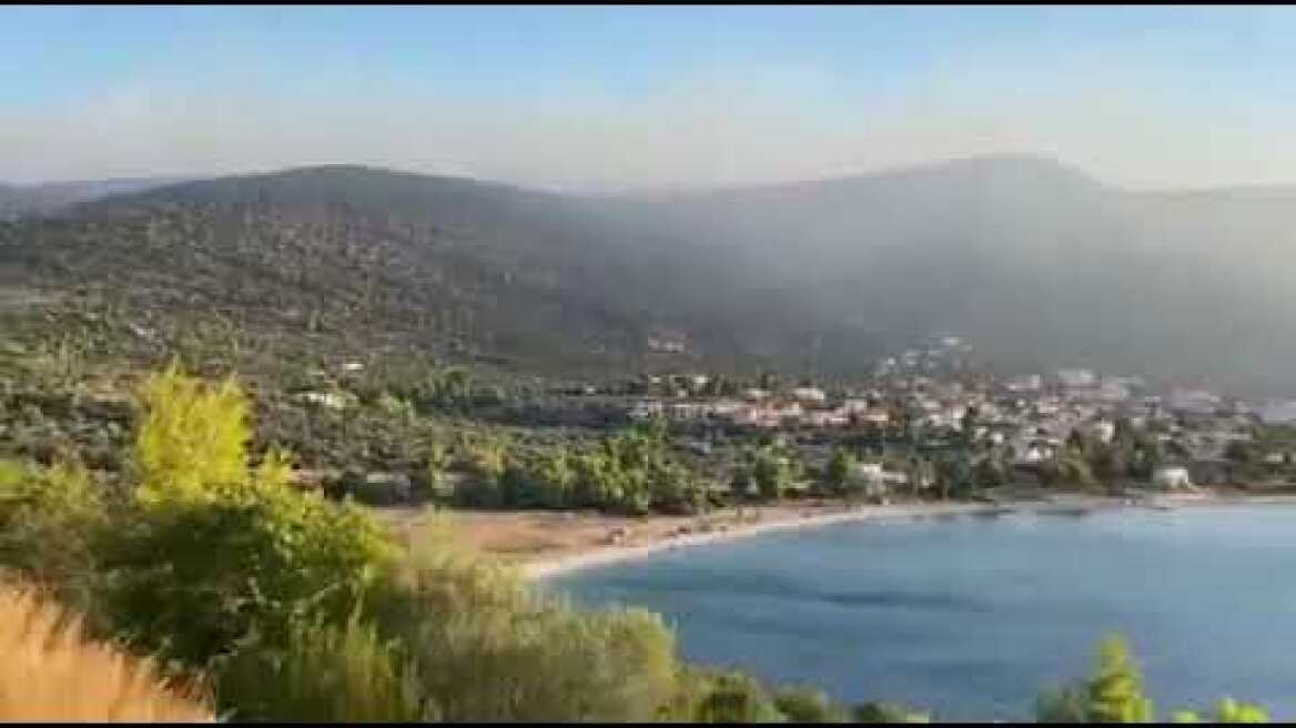 Φωτιά στο Σοφικό (1)