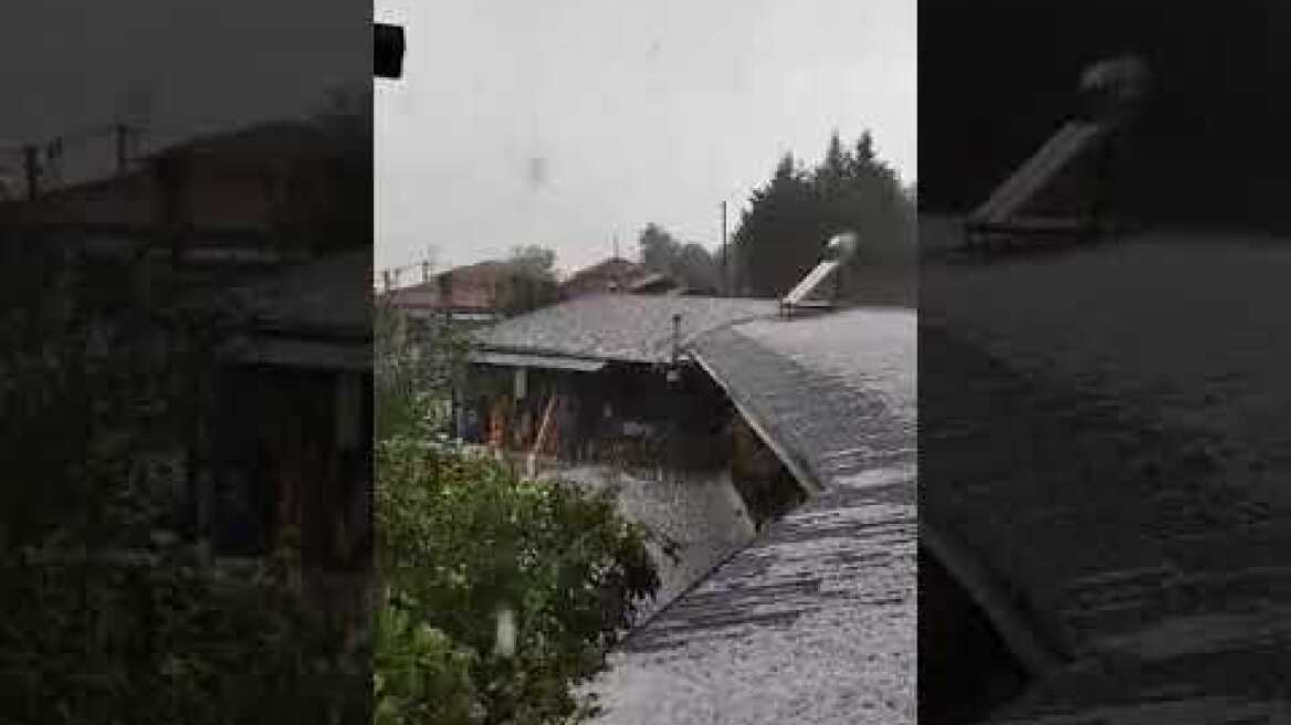 ΧΑΛΑΖΙ ΔΡΥΟΒΟΥΝΟ