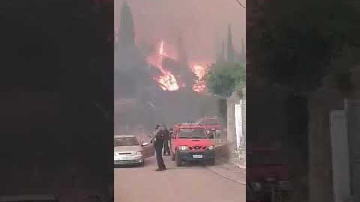 Μεσσηνία: Η πυρκαγιά μπήκε στο Καρνάσι