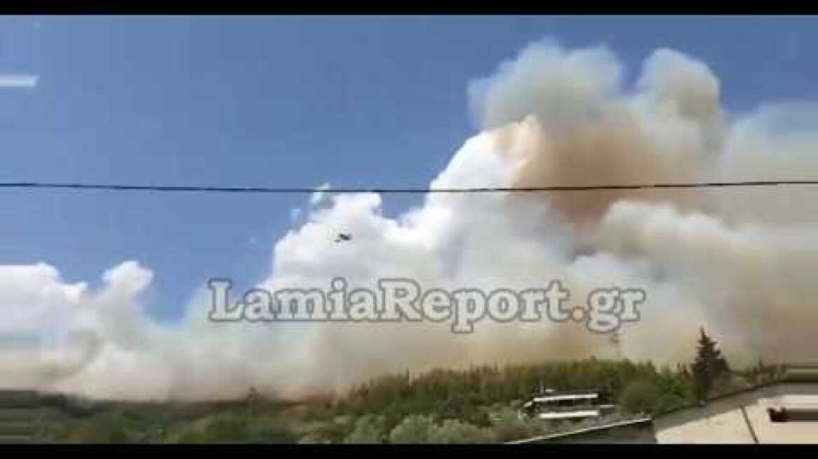 LamiaReport.gr: Φωτιά στη Δυτική Φθιώτιδα