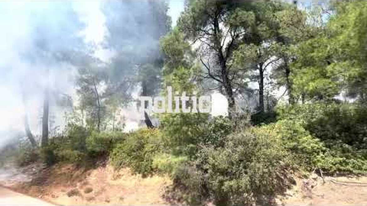 Πυρκαγιά σε εξέλιξη στο Παλιούρι Χαλκιδικής