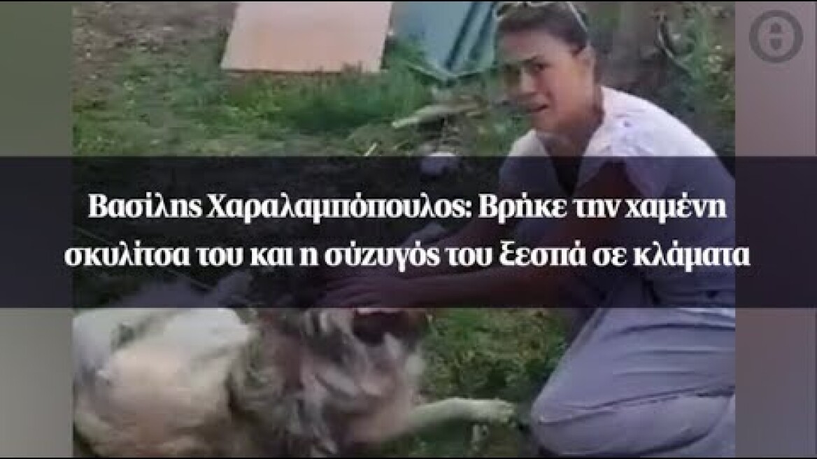 Βασίλης Χαραλαμπόπουλος: Βρήκε την χαμένη σκυλίτσα του και η σύζυγός του ξεσπά σε κλάματα