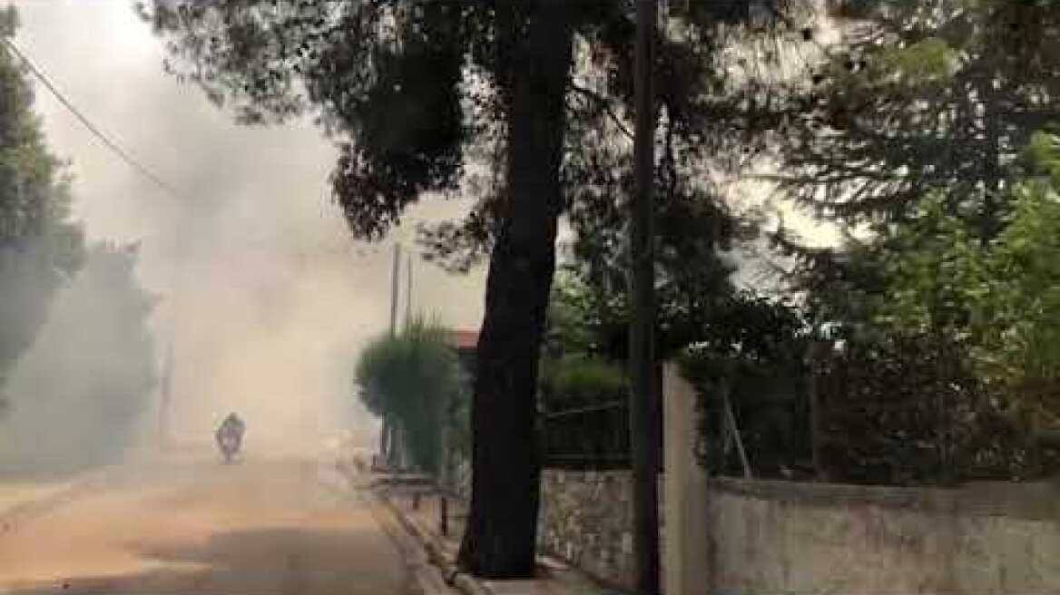 Φωτιά στη Σταμάτα