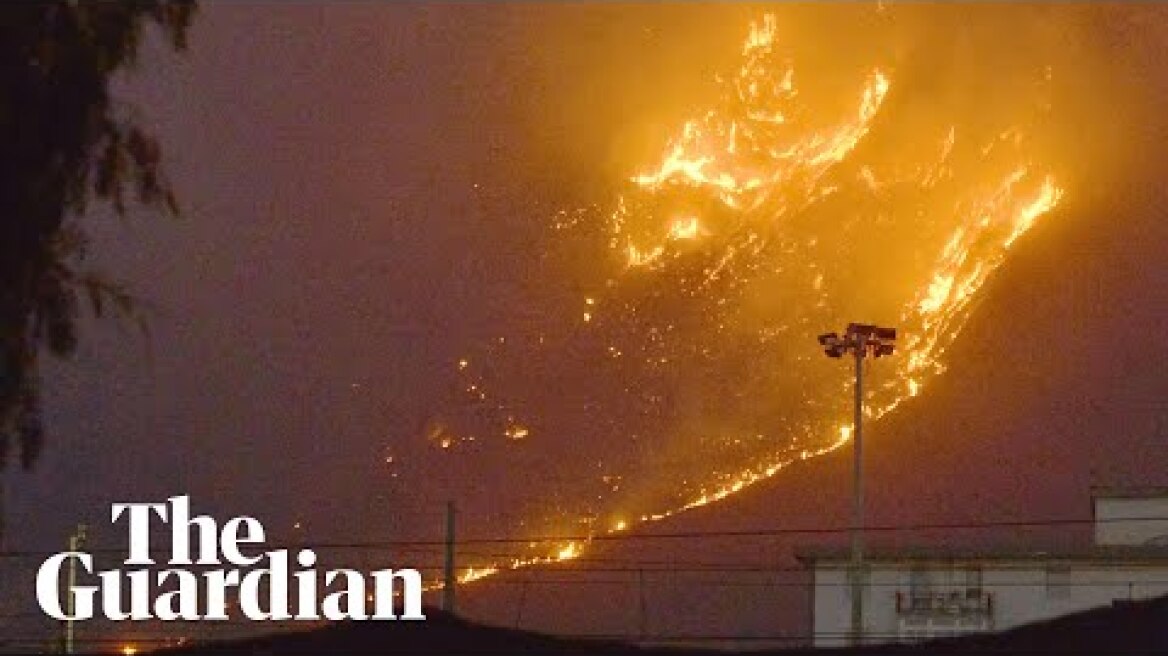 Wildfires tear through Sicily forcing Palermo airport to close