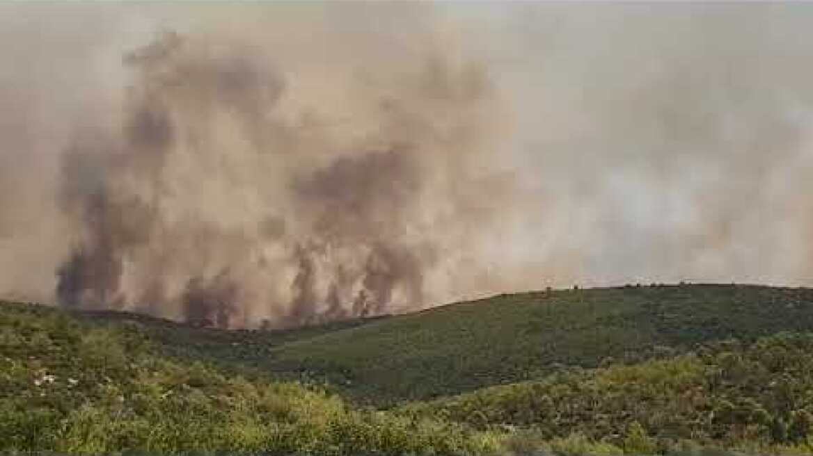 Φωτιά στα Δερβενοχώρια (2)