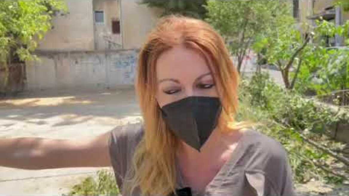 Δήλωση βουλευτή μερα25  διαμαρτυρία κατά της κοπής δέντρων για τη δημιουργία προσχολικων δομών