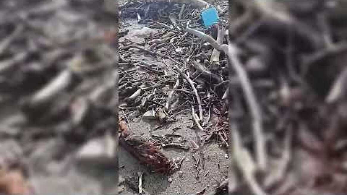 Κρανίου τόπος ο Αγιόκαμπος μετά την κακοκαιρία