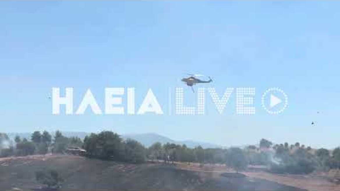 ilialive.gr - Μεγάλη φωτιά στην Κάμενα Αρχ. Ολυμπίας