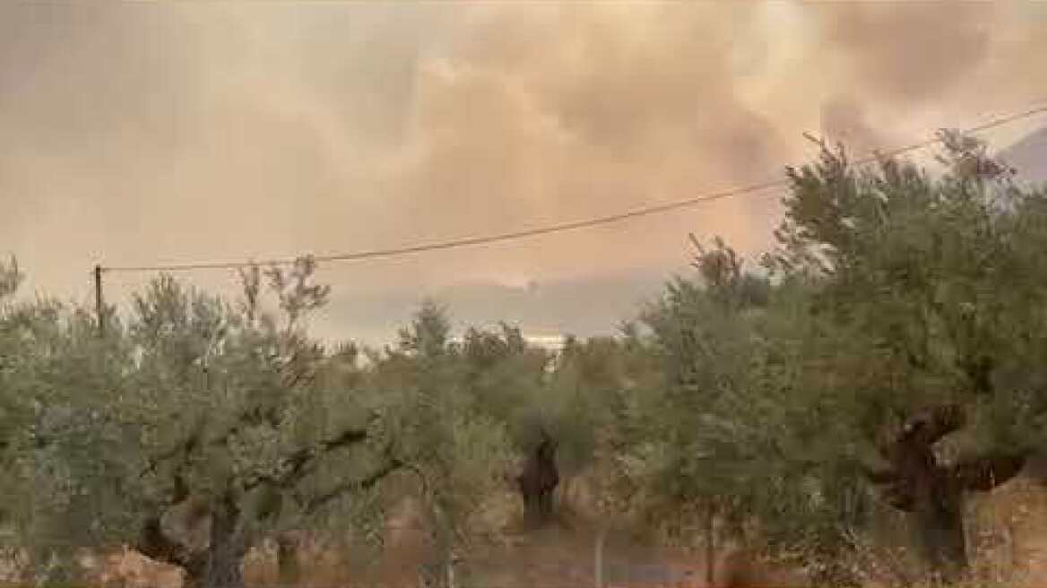 Φωτιά στη Μαγνησία: Εκρήξεις στη Νέα Αγχίαλο