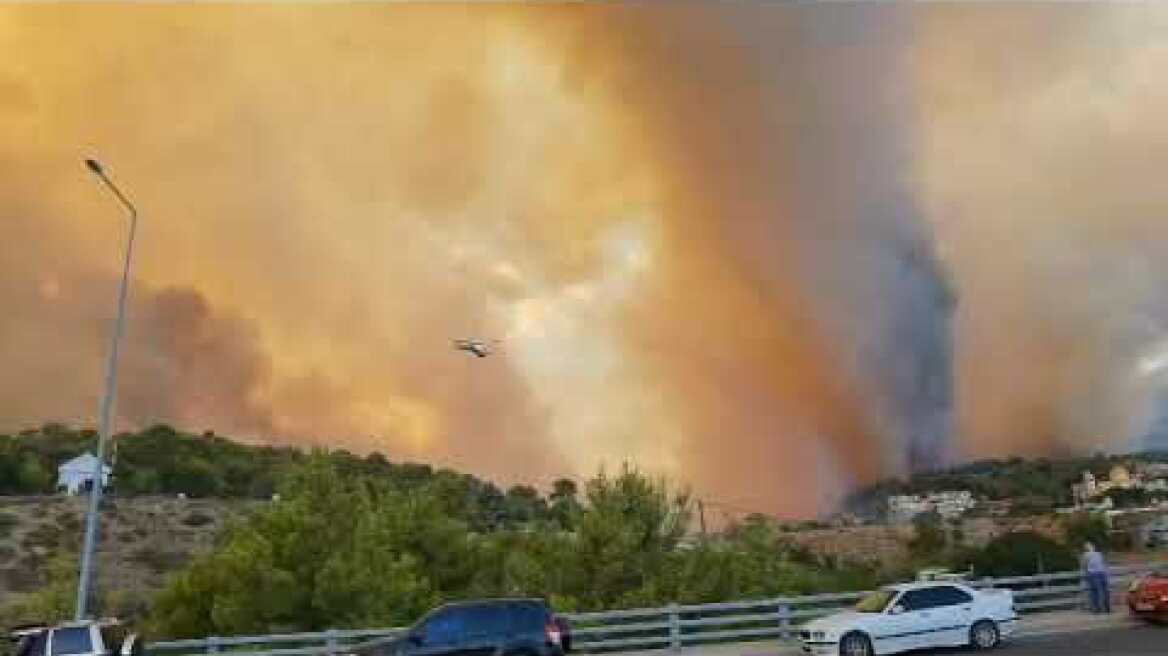 Φωτιά στη Χασιά