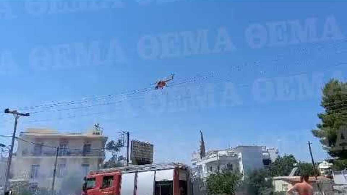 Δουκίσσης Πλακεντίας φωτιά