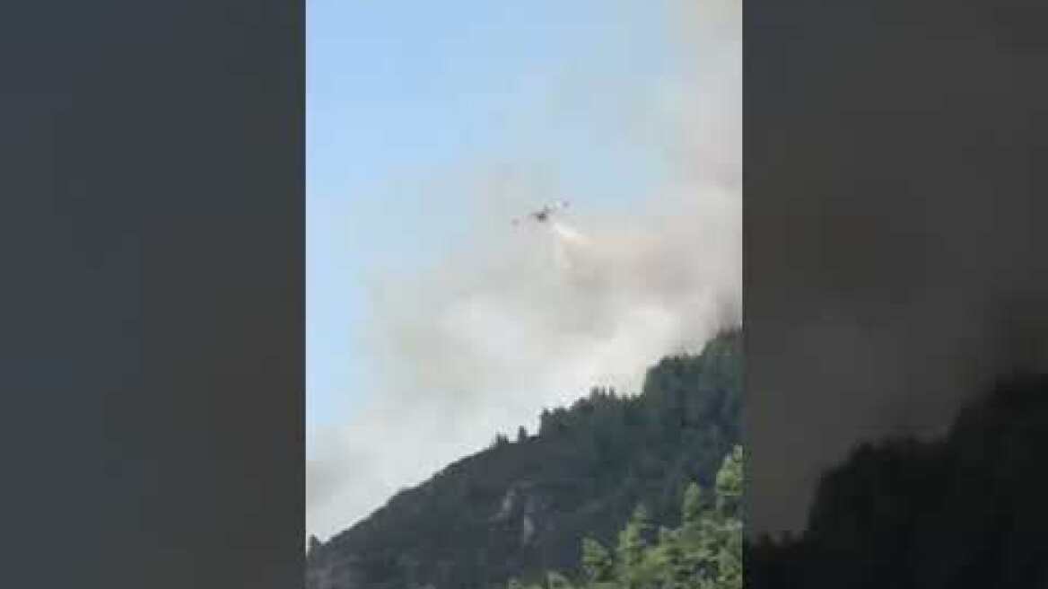 HALKIDIKINEWS -Φωτια στο Άγιο Όρος (2) 6/8/22