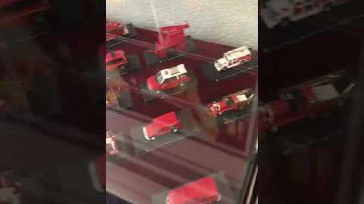 Υφυπουργός Πολιτικής Προστασίας Ρουμανίας (2)