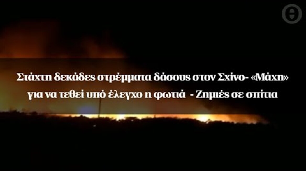 Στάχτη δεκάδες στρέμματα δάσους στον Σχίνο-«Μάχη» για να τεθεί υπό έλεγχο η φωτιά - Ζημιές σε σπίτια