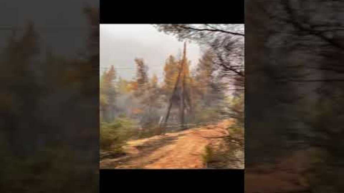 Παλαιοχώρι φωτιά καμένα