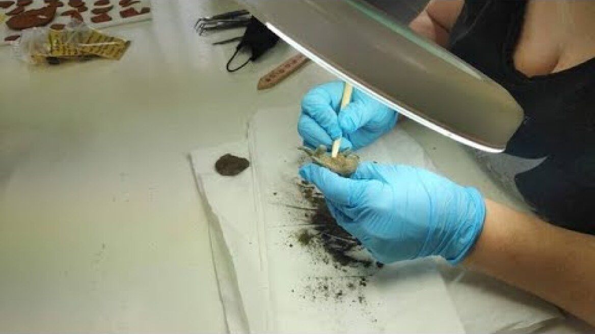 Συντήρηση χάλκινου ειδωλίου ταύρου από την Ολυμπία.