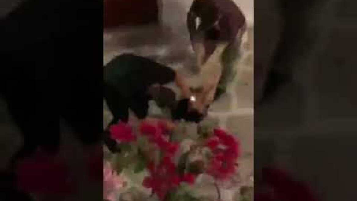 Βίντεο: Ο γιος του Τομ Χανκς κατέγραψε άγριο ξυλοδαρμό στην Αντίπαρο