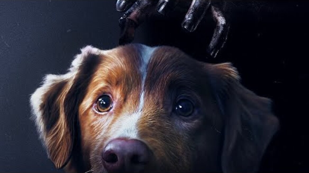 Good Boy (2025) hd greek trailer