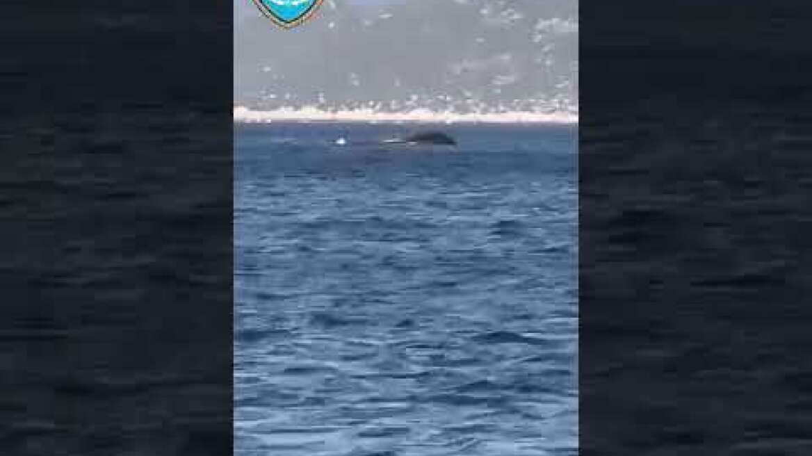 Σκάφος της Frontex στο οποίο επέβαινε η Εσθονή πρέσβης βούλιαξε στο Καστελλόριζο