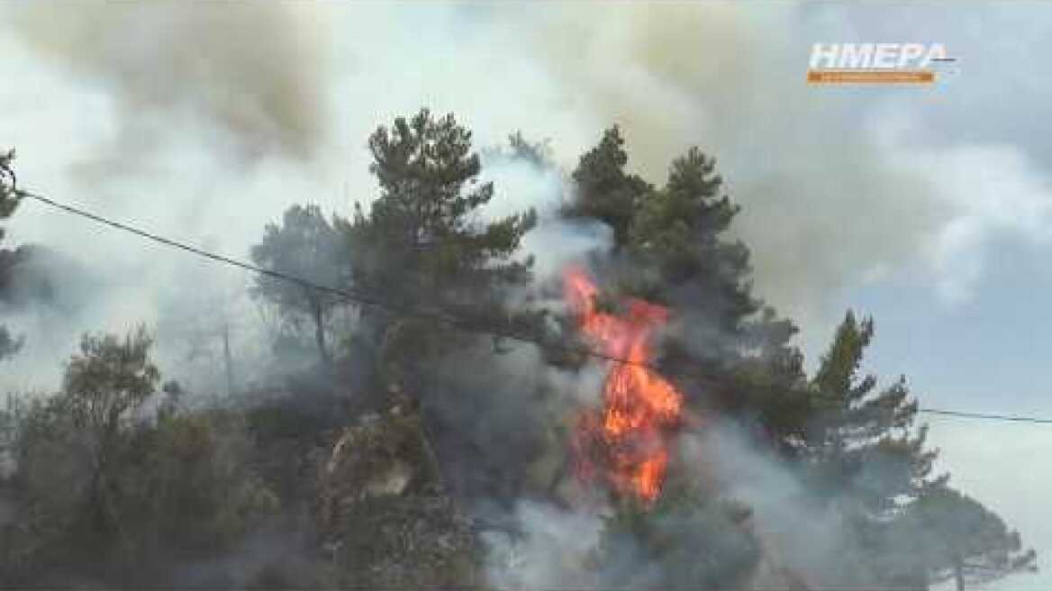 Φωτιά ξέσπασε πριν από λίγο στο Αργάσι -  Άμεση επέμβαση της Πυροσβεστικής