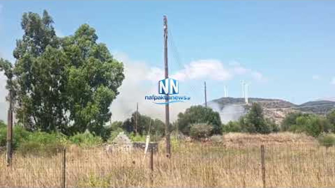 Πυρκαγιά μεταξύ Μακύνειας και Αντιρρίου