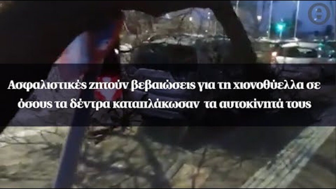 Ασφαλιστικές ζητούν βεβαιώσεις για τη χιονοθύελλα σε όσους τα δέντρα καταπλάκωσαν τα αυτοκίνητά τους