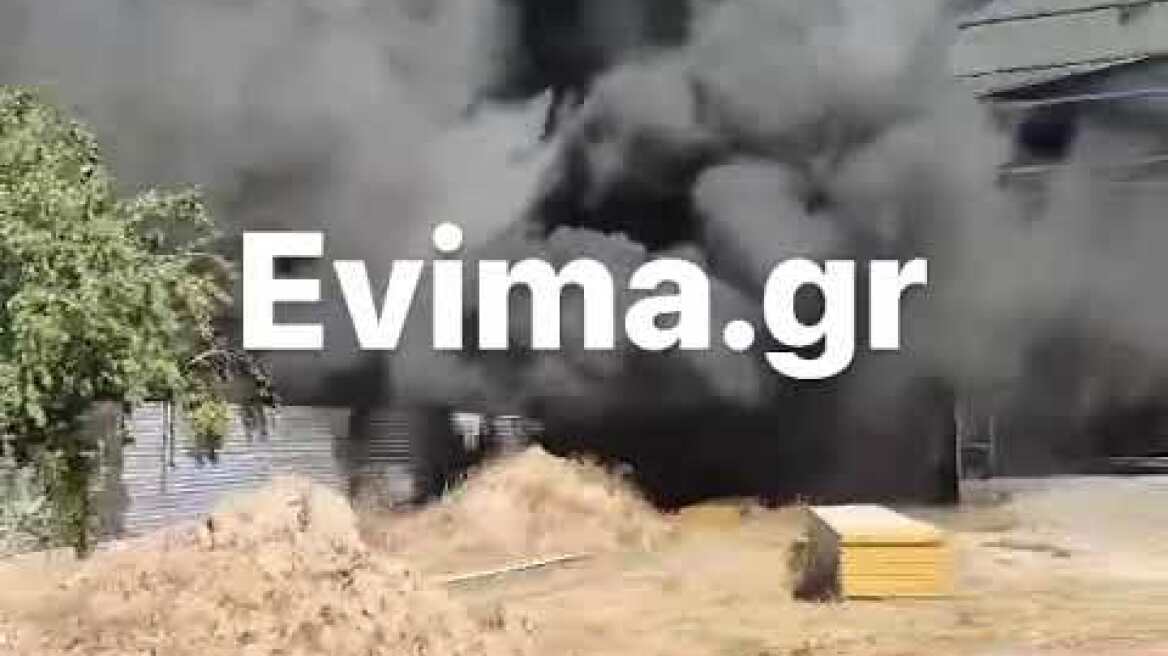 Φωτιά σε εργοστάσιο στην Εύβοια