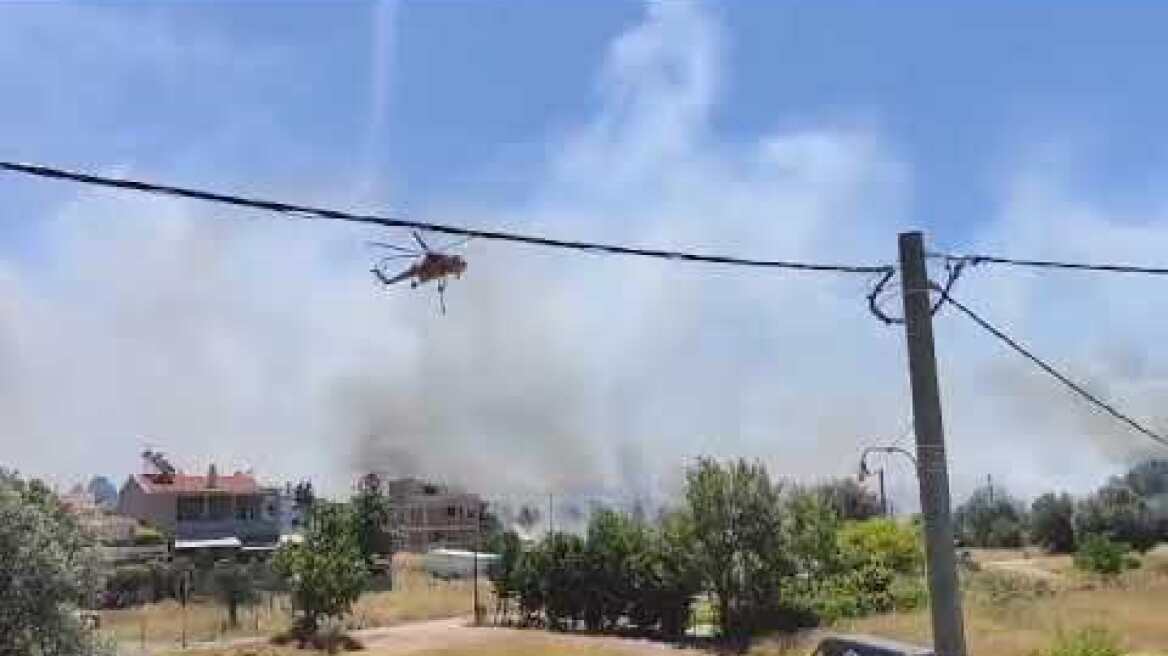 Φωτιά Νέα Κηφισιά 2/7/2021