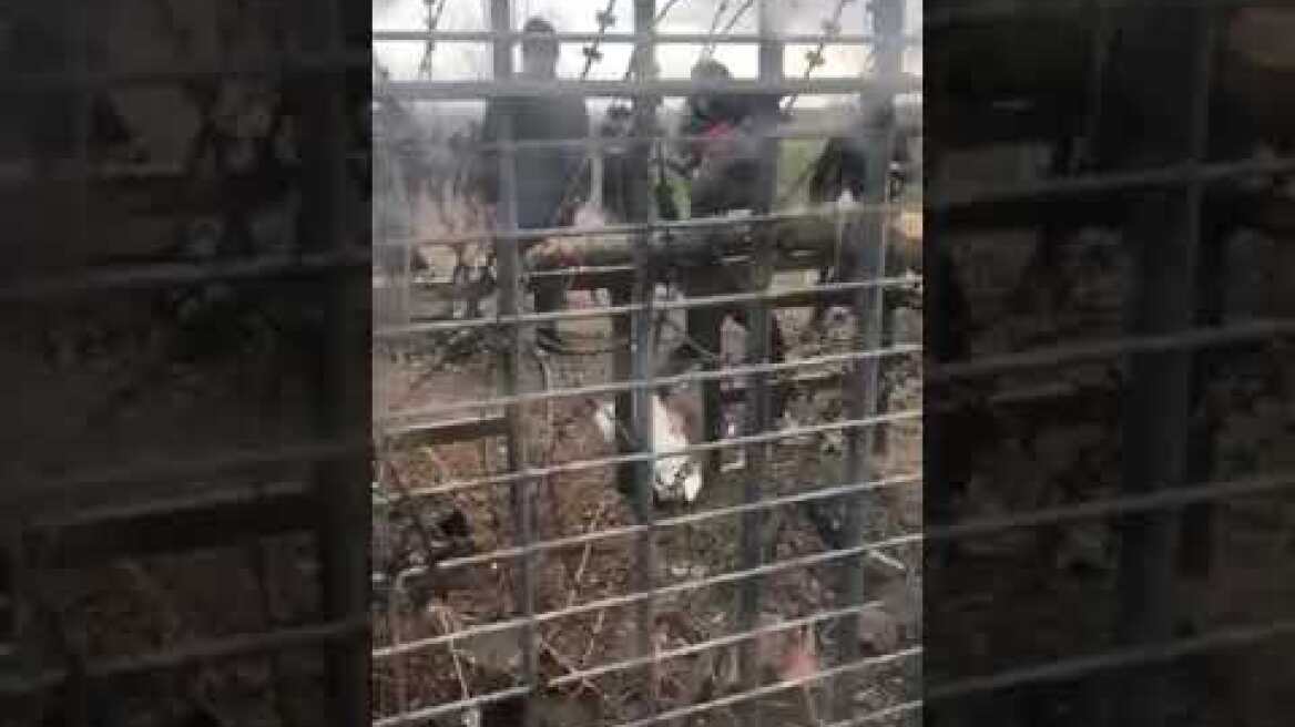 Ένταση στον Έβρο 1