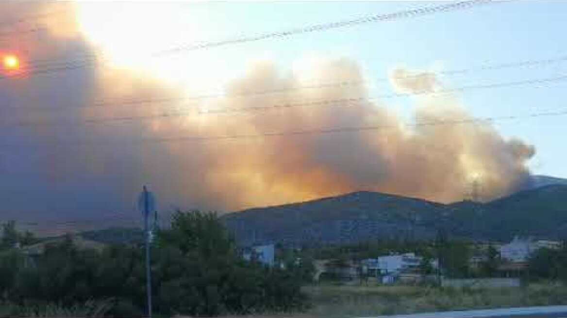 Αυτή είναι εικόνα από λεωφόρο Αγιου Διονύσιου Μενίδι