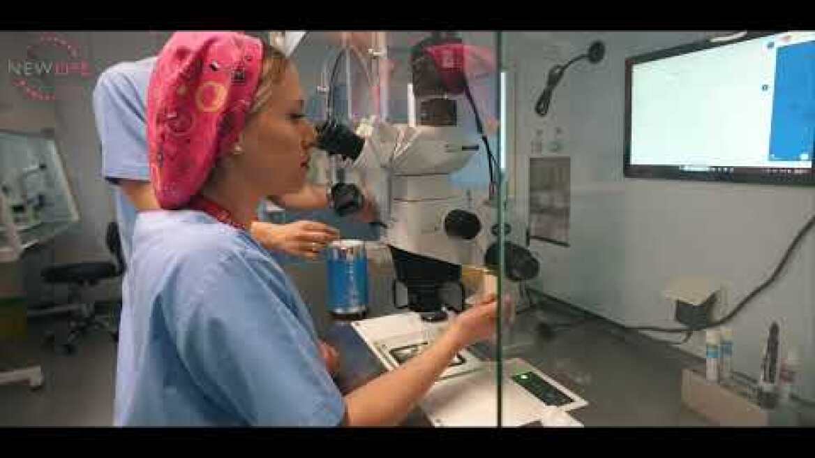 Newlife IVF | Κάνουμε την ελπίδα πραγματικότητα