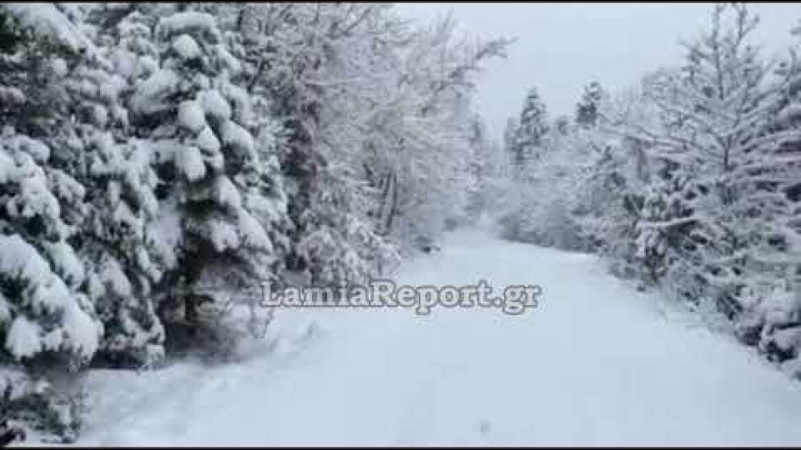 LamiaReport.gr: Στα ορεινά χωριά του Δήμου Μακρακώμης