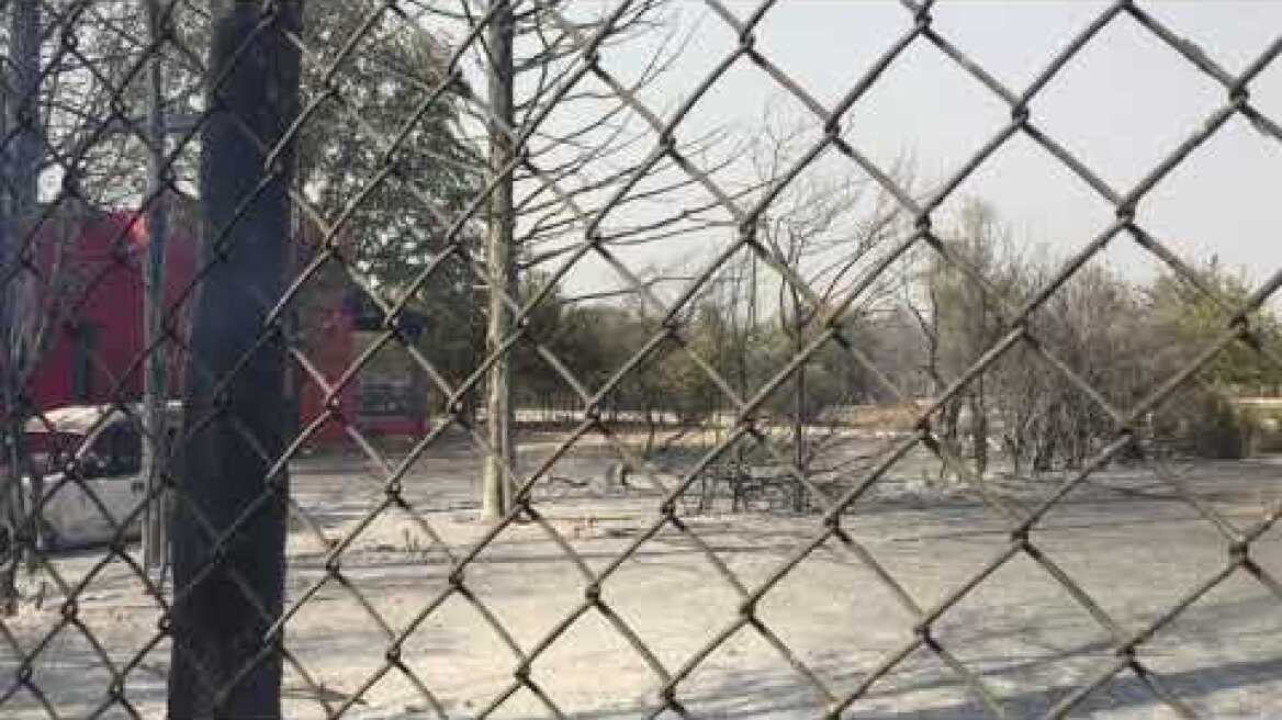 Καμένα - Κτήμα Κοντομηνά