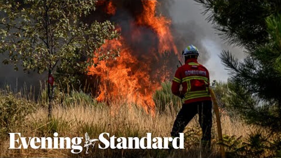 Hundreds of firefighters sent to tackle wildfires in Portugal as temperatures soar