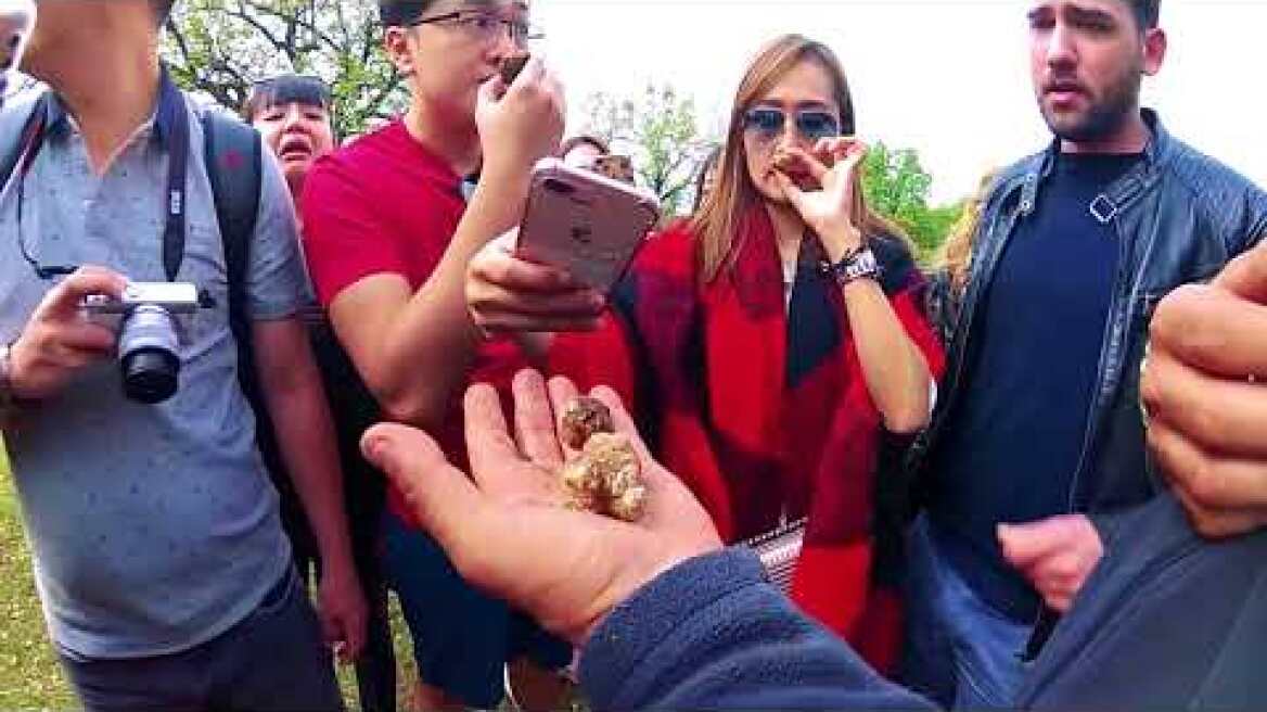 TRUFFLE HUNT AT METEORA trailer