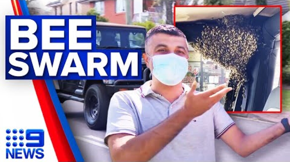 Bees swarm inside Sydney man’s car | 9 News Australia