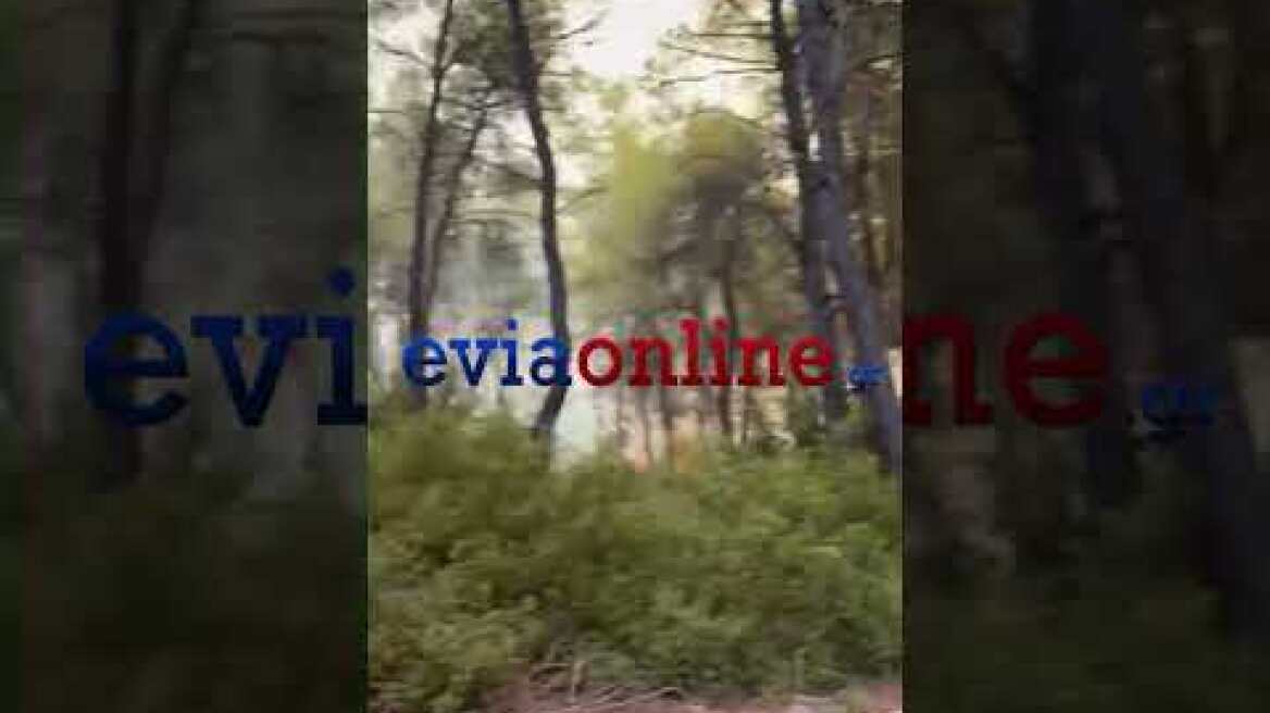 Εύβοια: Πύρινη κόλαση