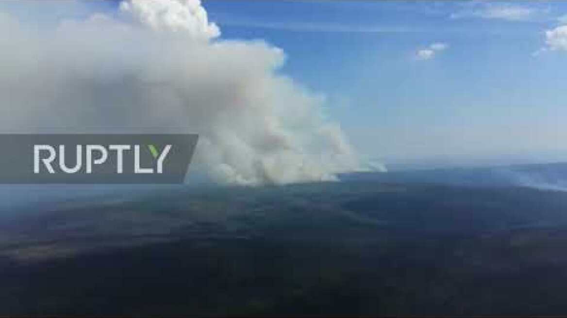 Russia: 1.6 million hectares of forest on fire in Siberia