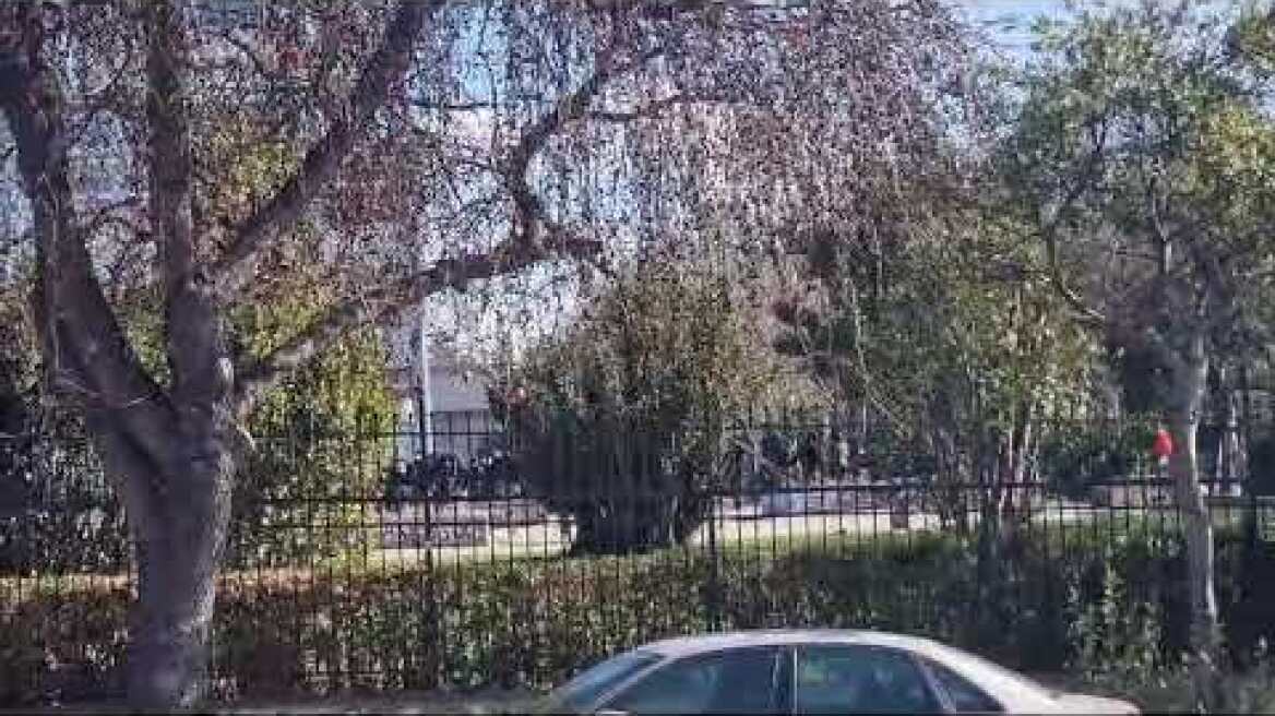 Κουκουλοφοροι άναψαν φωτιές σε κάδους, μπήκαν μέσα στο ΑΠΘ και πετάνε πέτρες στα ΜΑΤ από το προαύλιο